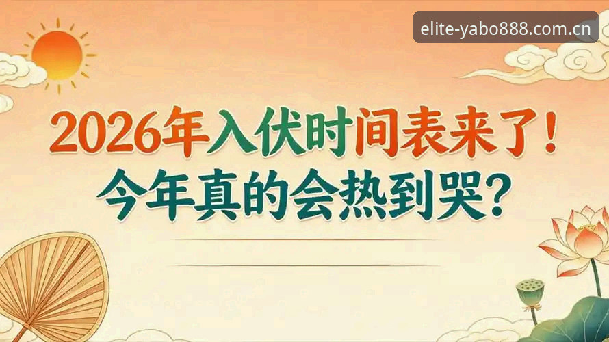 行家看看便知2026新版登录入口实战使用指南——从下载到流畅运行的完整攻略